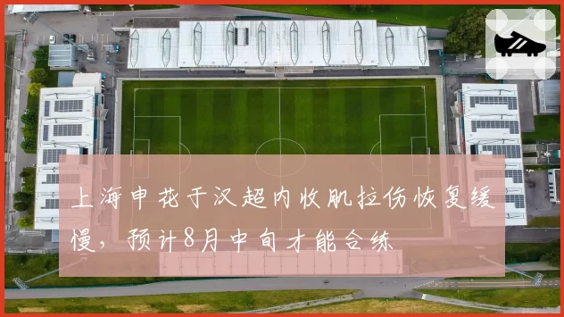 上海申花于汉超内收肌拉伤恢复缓慢，预计8月中旬才能合练