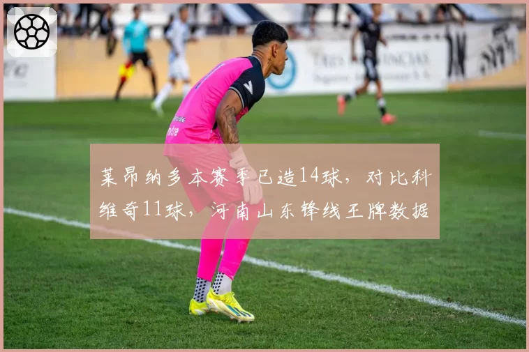 莱昂纳多本赛季已造14球，对比科维奇11球，河南山东锋线王牌数据对比