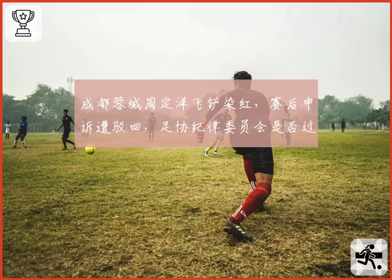 成都蓉城周定洋飞铲染红，赛后申诉遭驳回，足协纪律委员会是否过严？