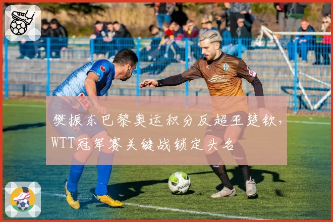 樊振东巴黎奥运积分反超王楚钦，WTT冠军赛关键战锁定头名